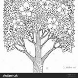 Dogwood Coloring Tree Pages Flowering Getdrawings Getcolorings Color sketch template