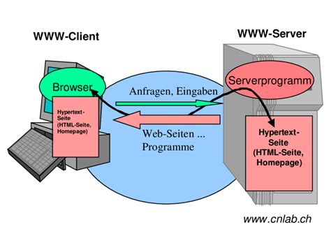 abbildung  client server prinzip fuer www  scientific diagram