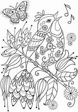 Coloring Pages Doverpublications Easy Adult Mandala Dover Passport Animal Publications Colouring Printable Book Books Sheets Adults Welcome Zb Samples Boyama sketch template