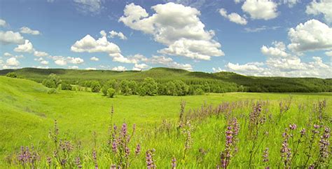 green meadow stock footage videohive