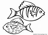 Fish Drawing Kids Coloring Pages Printable Library Cartoon Clipart sketch template
