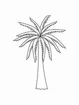 Palm Coloring Tree Pages Printable Kids Color Trees Bright Colors Favorite Choose sketch template