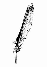 Feather Coloring Pages Edupics sketch template