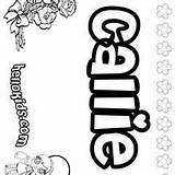 Callie Coloring Pages Name Hellokids sketch template