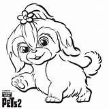 Pets Secret Life Coloring Pages Daisy Printable sketch template