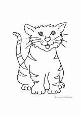 Colouring Kittens Svg Tabby sketch template