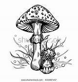 Agaric Designlooter Mushroom sketch template