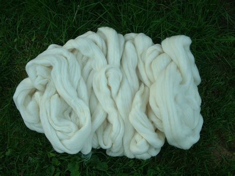 pounds merino wool top  spinning felting dyeing usa etsy