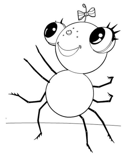 spider shape template  crafts colouring pages  premium