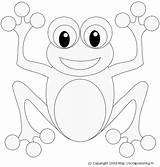 Grenouille Colorier Grenouilles Coloriages Obvious Halved Incorporates Oils Drawing Ranas sketch template