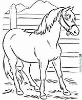 Horse Coloring Pages Printable Print Below Click Farm sketch template