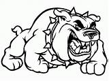 Coloring Bulldogs Bulldog sketch template