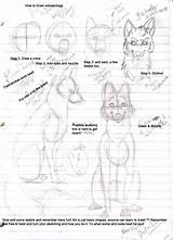 Wolf Drawing sketch template