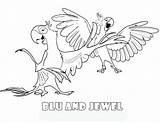 Rio Coloring Pages Movie Bird Pelicula Colorear Birds Kids Template Para Sheets Colouring Printable sketch template