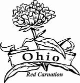 Coloring Flowers Ohio State Carnation Pages Flower Sketch Drawing Red Printable Kids Manicure York Adults Comments Sheets Getdrawings Paintingvalley Choose sketch template