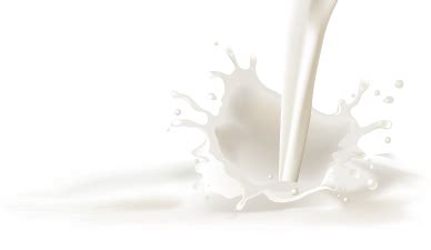 milk company