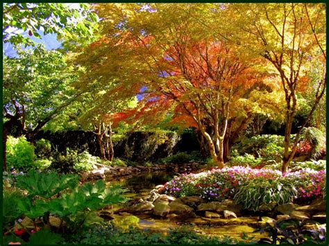 autumn gardening tips elfant wissahickon philadelphia realtors