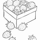 Strawberry Fresa Owoce Kolorowanki Warzywa Morango Caixa Erdbeere Pokoloruj Vitamina Tudodesenhos Fruits Fruta Shortcake Scentsy Raisingourkids sketch template