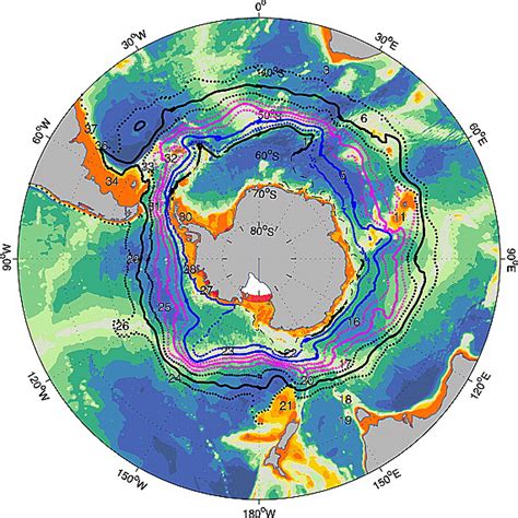 circumpolar structure  distribution   antarctic circumpolar current fronts
