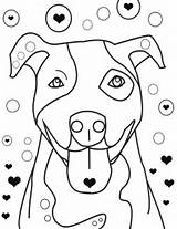 Coloring Pitbull Pages Color Print Pit Bull Kids Colouring sketch template