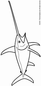 Swordfish Coloring Pages Colouring sketch template