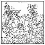 Botanical sketch template