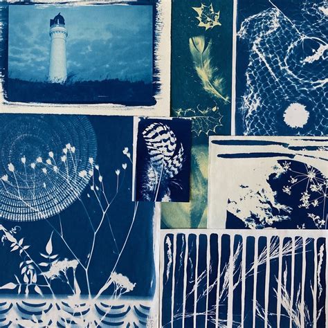 cyanotype  day  experimentation   rails arthouse