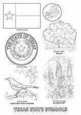 Coloring Pages Texas Symbols State Flower Printable Worksheets Flag Color Supercoloring Tree sketch template