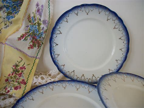 beautiful rare antique flow blue china plates set   dinner etsy flow blue china flow