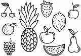 Fruit Fruits Doodles Set Vectors Doodle Pineapple Orange Vector Strawberry Apple Ananas Including Others Vecteezy Collection Pluspng Edit sketch template