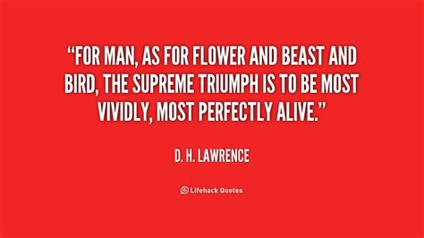 d h lawrence quotes quotesgram