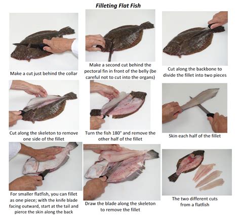 fish  shellfish fabrication methods  culinary pro