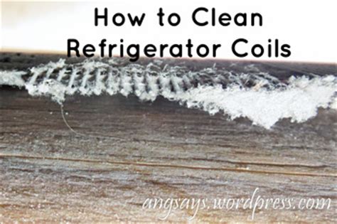 clean refrigerator coils kiwi