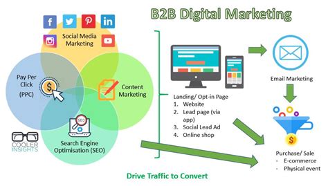 bb digital marketing process cooler insights
