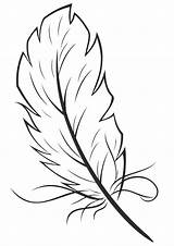 Feathers Pages Coloring Print sketch template