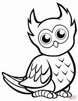 Owl Coloring Pages Cute Owls Printable Easy Drawing Birds Print Preschool Cartoon Animals Book Supercoloring Categories sketch template