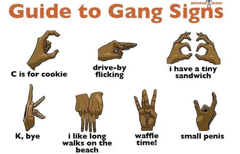 illustrated guide  gang signs showing
