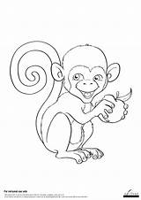 Abe Monkey Freebies Fra Og sketch template