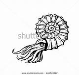 Ammonite Coloring Designlooter 433px 17kb sketch template