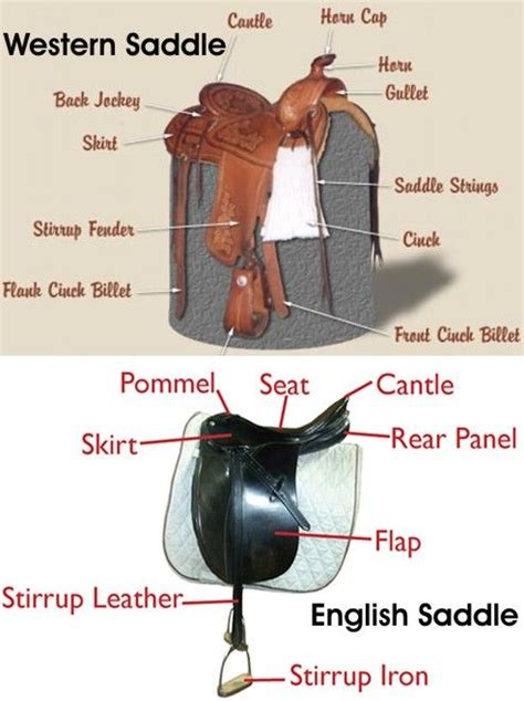 parts   western saddle   english saddle  needed horse tack pinterest