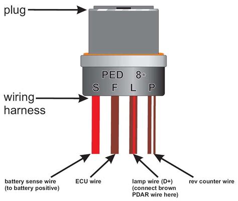pin alternator wiring diagram sustainablened