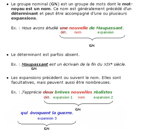 le groupe nominal soutien scolaire cours francais maxicours