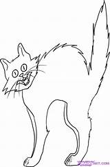 Cat Coloring Pages Halloween Cats Drawing Scary Scared Color Printable Getcolorings Line Getdrawings Print Library Clipart Colorings sketch template