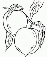 Owoce Warzywa Kolorowanki Druku sketch template
