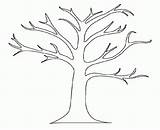 Tree Coloring Clipart Pages Sheets Library Clip Leaves Kids sketch template