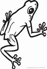 Frosch Ausmalbilder Malvorlage Kinder Froesche Frosche Tiere sketch template