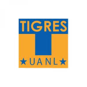 tigres brands   world  vector logos  logotypes