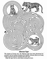 Maze Dover Publications Mazes Scout Doverpublications Cub sketch template