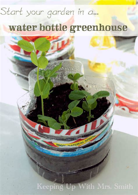 Start Your Garden In A Water Bottle Greenhouse Starting