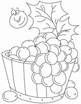 Coloring Grapes Pages Kids Sheets sketch template
